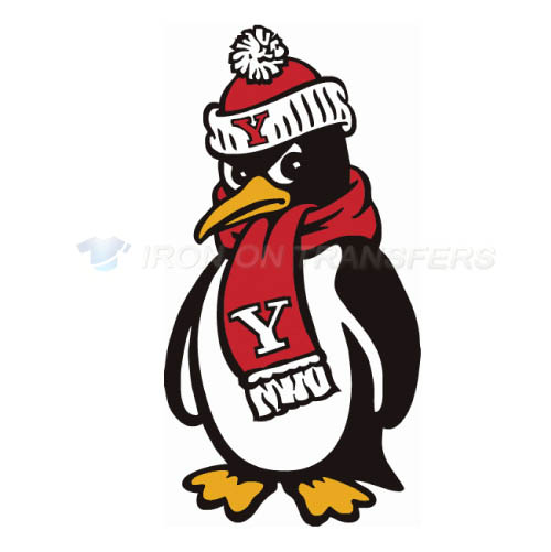 Youngstown State Penguins Iron-on Stickers (Heat Transfers)NO.7096